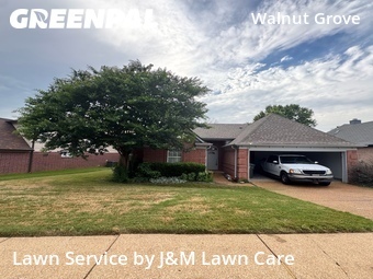 Lawn Mowing Service nearby Memphis, TN, 
