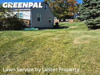 Backyard Mowing in Beaver, 15009, Yard Care by Luster Property, work completed in Nov , 2025