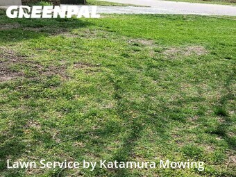 Grass Cutting nearby Lee's Summit, MO, 