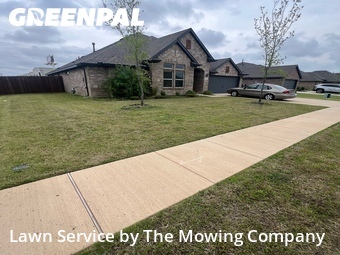 Grass Cut nearby Forney, TX, 