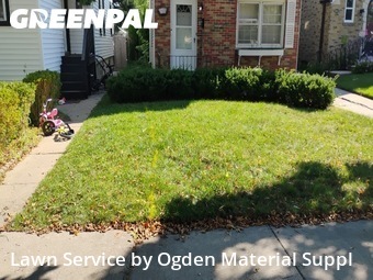 Lawn Care Service nearby Evanston, IL, 
