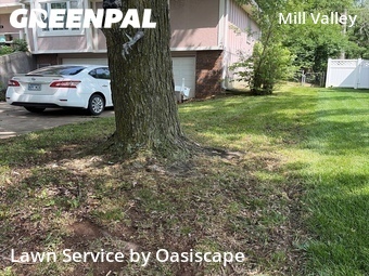 Grass Cutin Shawnee,66216,Lawn Cut by Oasiscape, work completed in Jun , 2026