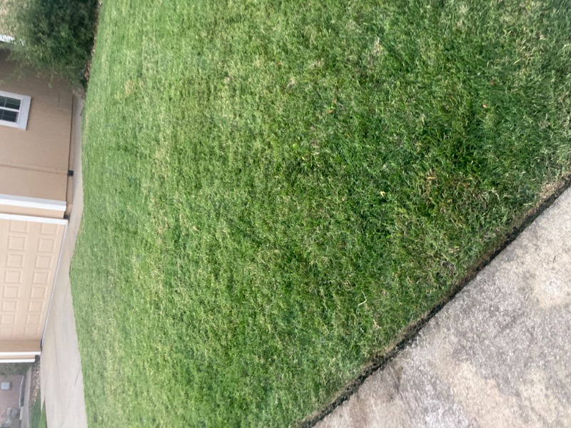 affordable-grass-cutting-businesses-in in Stockton, CA