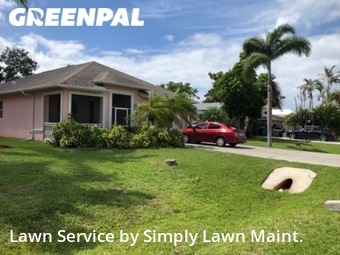 Grass Cut nearby Naples, FL, 
