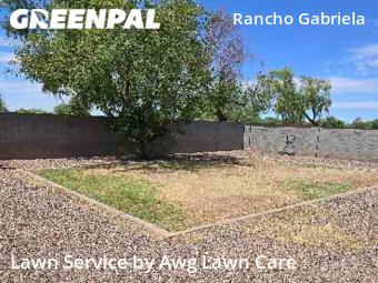 Lawn Cut nearby Surprise, AZ, 