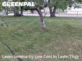 Lawn Mow nearby Spokane Valley, WA, 