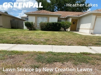 Yard Mowing nearby Brandon, FL, 