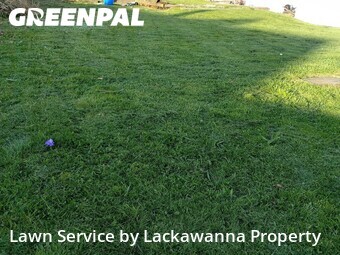 Grass Cut nearby Scranton, FL, 