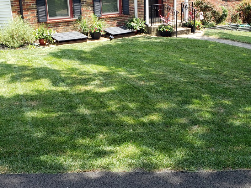 Lawn Mowing Contractor in St. Louis, MO, 63125