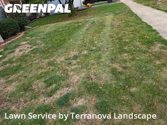 Yard Work in Plainfield, 60544, Grass Care by Terranova Landscape, work completed in Nov , 2025