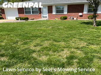 Lawn Mowing Service nearby Belleville, IL, 