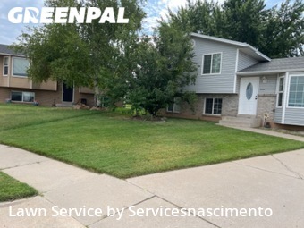 Lawn Cutting nearby Roy, VA, 