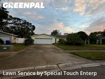 Grass Cut nearby Oldsmar, FL, 