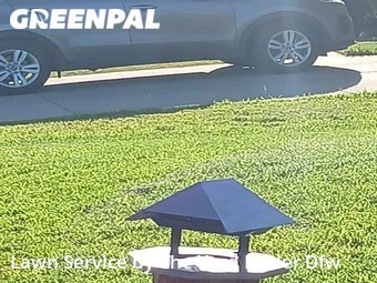 Lawn Cut nearby Fort Worth, TX, 