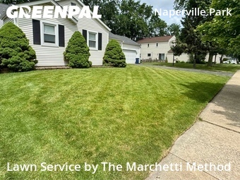 Lawn Care nearby Naperville, IL, 