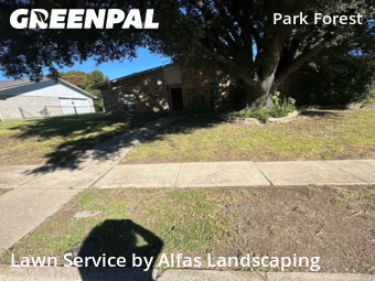 Lawn Mowingin Plano,75023,Grass Cutting by Alfas Landscaping, work completed in Nov , 2025