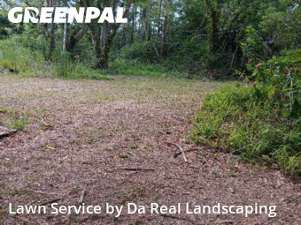 Grass Cut nearby Land O'lakes, FL, 