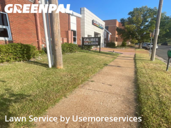 Lawn Cut nearby St. Louis, MO, 