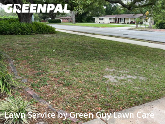 Grass Cutting nearby Temple Terrace, FL, 