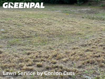 Grass Cut nearby Bradenton, FL, 