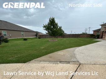 Grass Cuttingin Schertz,78108,Lawn Care Service by Wcj Land Services Llc, work completed in Nov , 2025