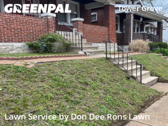 Lawn Cutting nearby St. Louis, MO, 