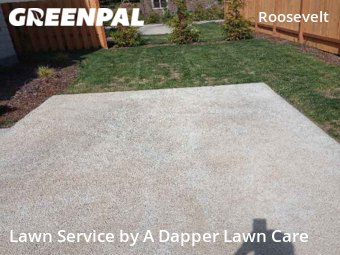 Lawn Mow nearby Bellingham, WA, 