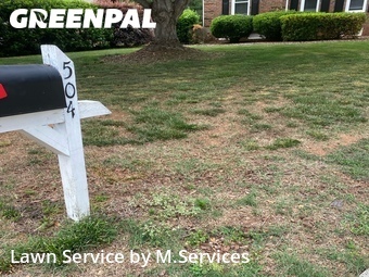 Lawn Maintenance nearby Greensboro, NC, 
