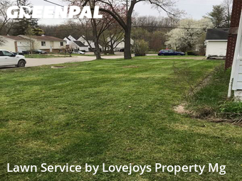Grass Cutting nearby Ann Arbor, MI, 