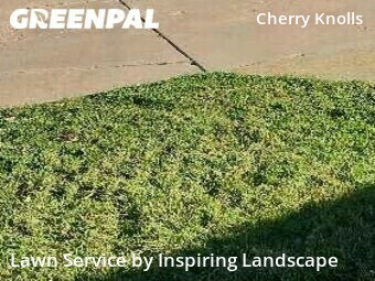 Lawn Service nearby Centennial, CO, 