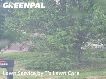 Lawn Service nearby Clarksville, TN, 