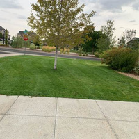local-lawn-cutting-services-in-Longmont-CO