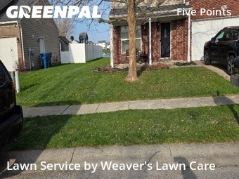Lawn Maintenance nearby Indianapolis, IN, 