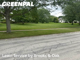 Lawn Care nearby Naperville, IL, 