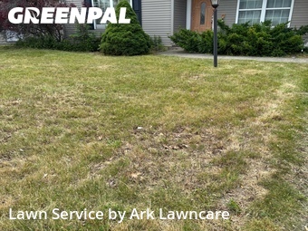 Lawn mowed in Schenectady, 12306