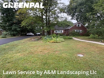 Lawn mowed in Towson, 21286