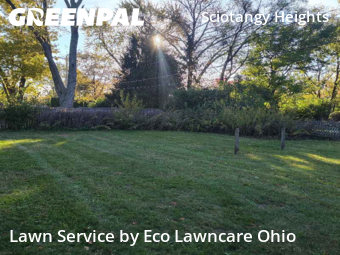 Grass Cutting nearby Columbus, OH, 