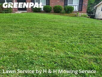 Grass Cut nearby St. Louis, MO, 