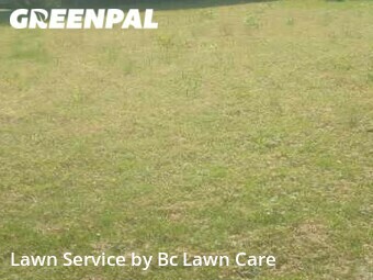 Lawn Care nearby Louisburg, NC, 