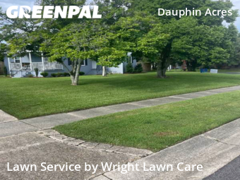 Grass Cut nearby Mobile, AL, 