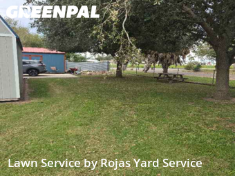 Yard Mowing nearby Harlingen, TX, 