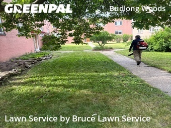 Grass Cut nearby Chicago, IL, 