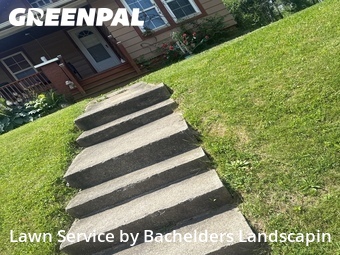 Lawn Mow nearby Mansfield, OH, 