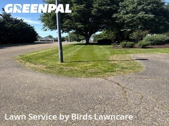 Lawn mowed in Harrisonburg, 22801