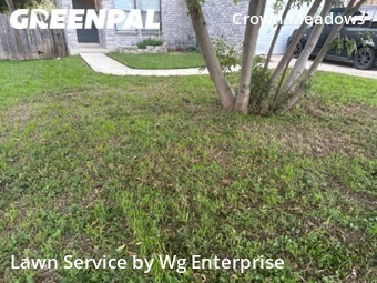 Lawn Care Service nearby San Antonio, TX, 
