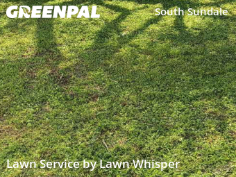 Work completed by lawn-care-services-in-Fremont-CA