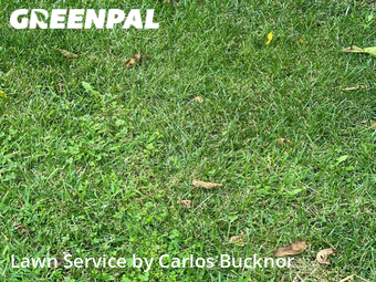 Lawn Care nearby Independence, MO, 