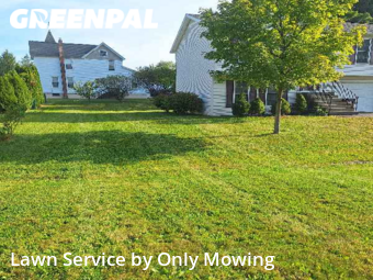 Grass Cut nearby Albany, NY, 