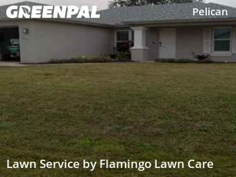 Landscaping Maintenance In Cape Coral,33914,Landscaping Renovation by Flamingo Lawn Care, work completed in Dec , 2025