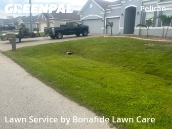Grass Cutting nearby Cape Coral, FL, 